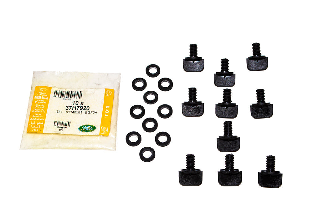 Plug - Sedimentor Drain - Genuine