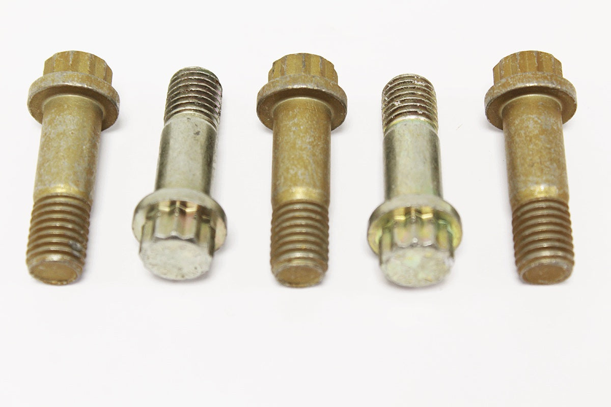 Disc Brake Caliper - Bolt