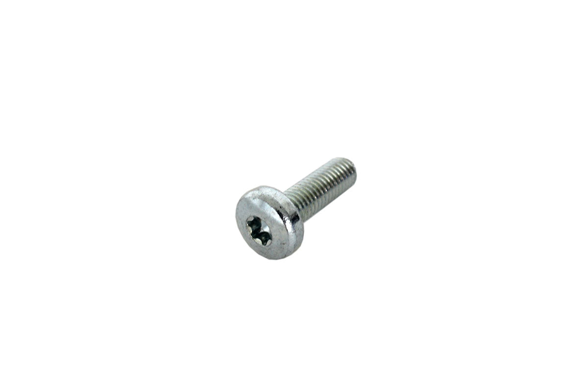 Bolt - Torx Drive - Rear Door Hinge to Body - Genuine