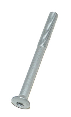 Bolt - Torx - Rear Lower Hinge to B-Pillar - Genuine