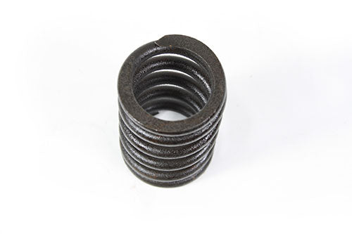 Valve - Spring 300Tdi - Genuine