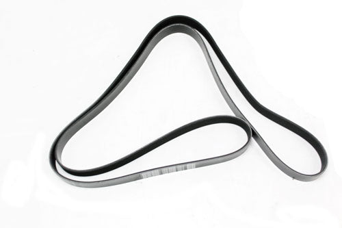 Serpentine Belt - V8