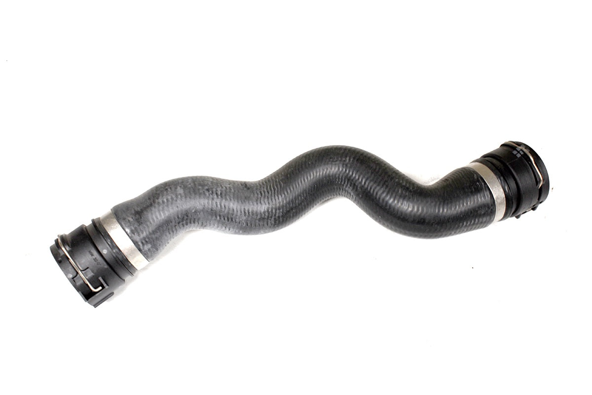 Radiator - Hose - Top