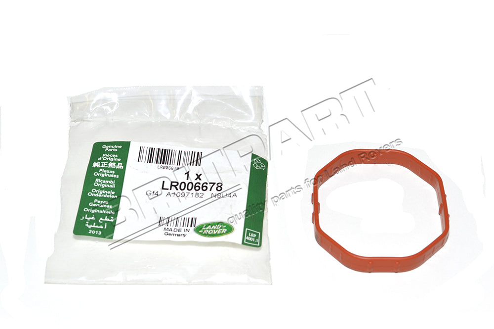 Gasket - Upper Intake Manifold - Genuine