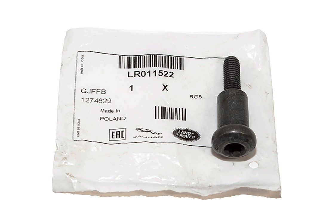 Bolt - Camshaft Chain Tensioner Blade - Auxiliary Chain Tensioner - Genuine