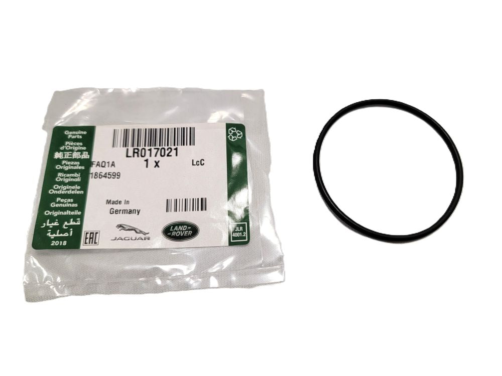 Gasket - Vacuum Pump - Genuine
