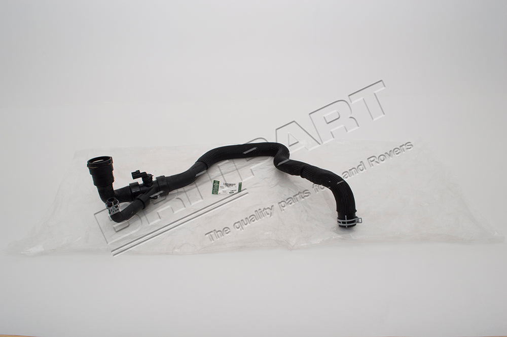 Hose - Lower Radiator - 2.0L 16V TIVCT - Genuine