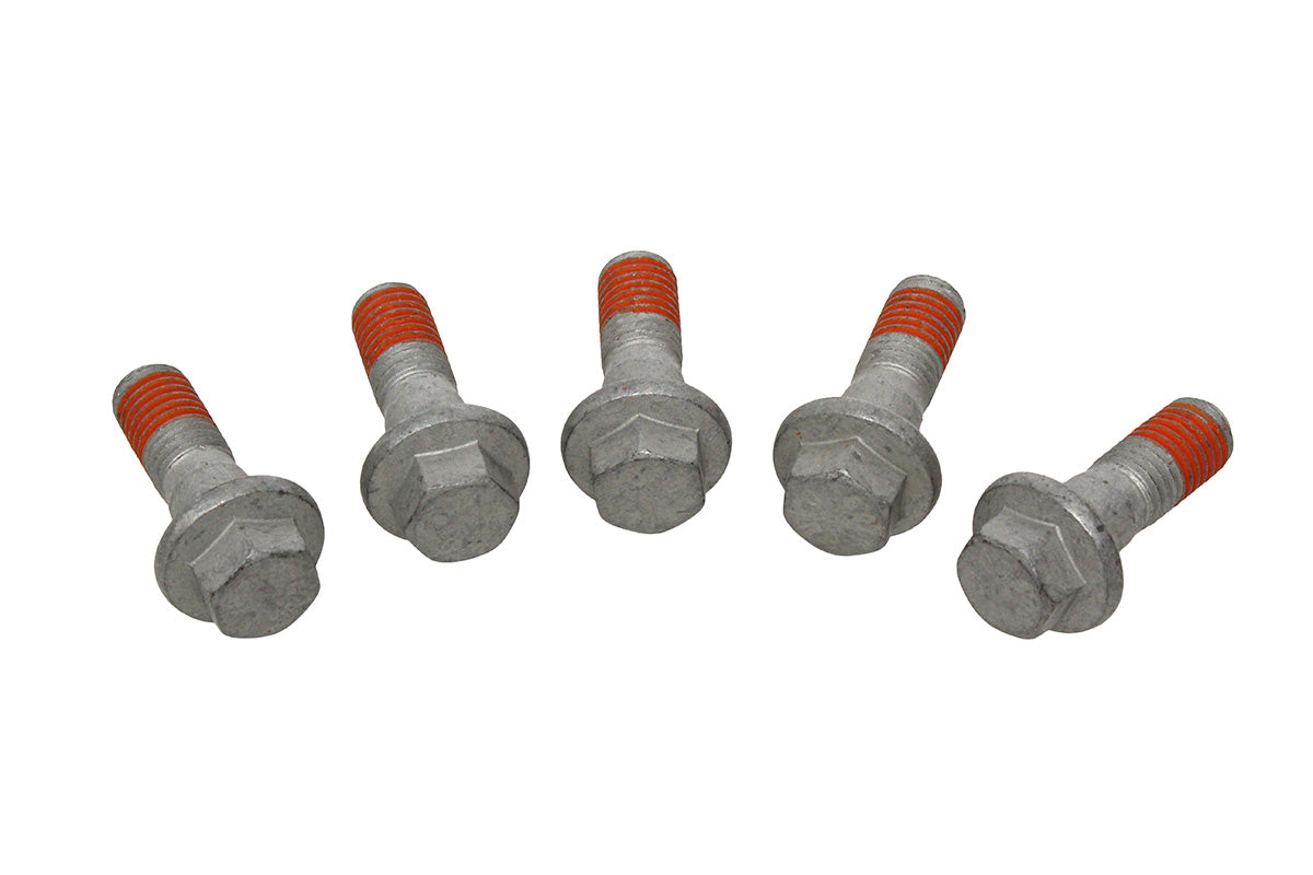 Caliper Mount Bolt - Rear - Genuine