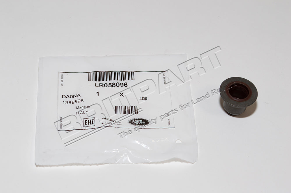 Valve - Seals - 2.4L Duratorq