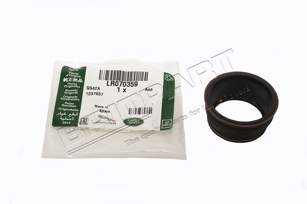 Gasket - Solenoid / Cylinder Head - 2.0L 16V TIVCT - Genuine