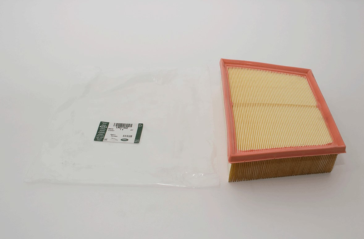 Air Filter - RR Evoque/DS - Genuine