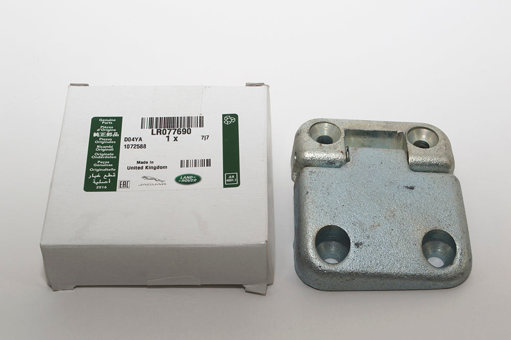 Door - Hinge - Coated - Left Front Lower & Left Rear Upper - Genuine