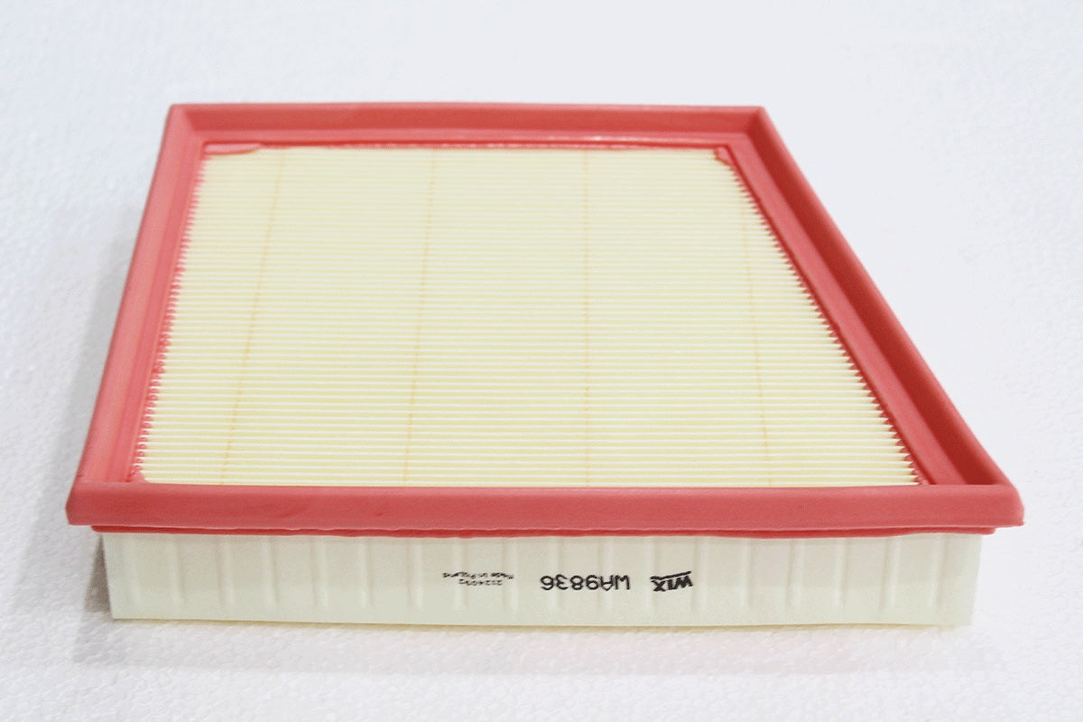 Air Filter - Element - RH - Genuine