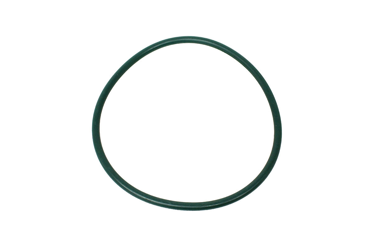 Fuel Pump - O-Ring - Dust Cover