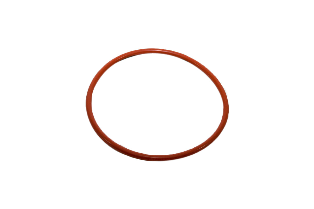 O-Ring - Fuel Pump - Genuine