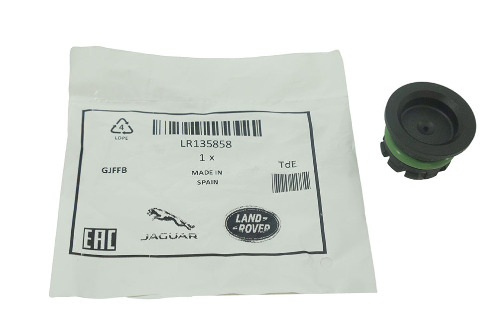 Cap - Timing Cover - 2.0L - Genuine