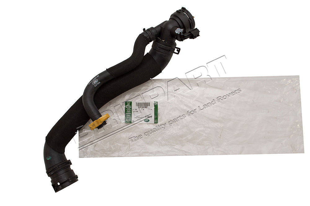 Hose - Radiator Bottom - Genuine