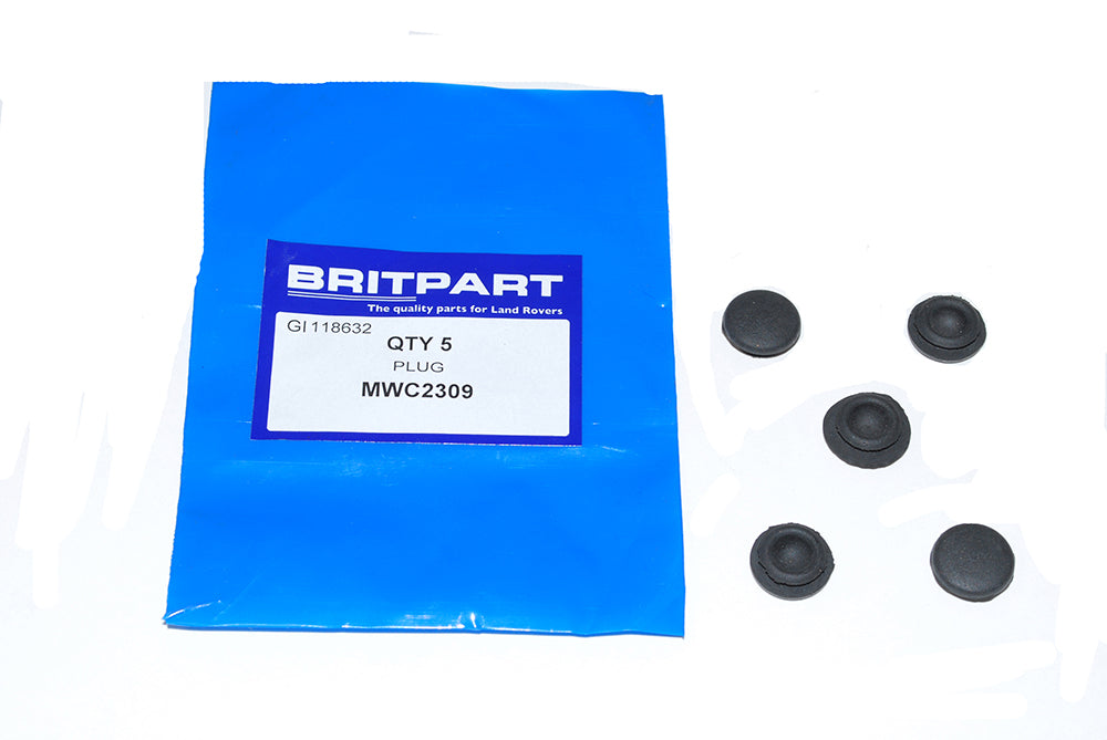 Plug - Blanking Wiper Spindle