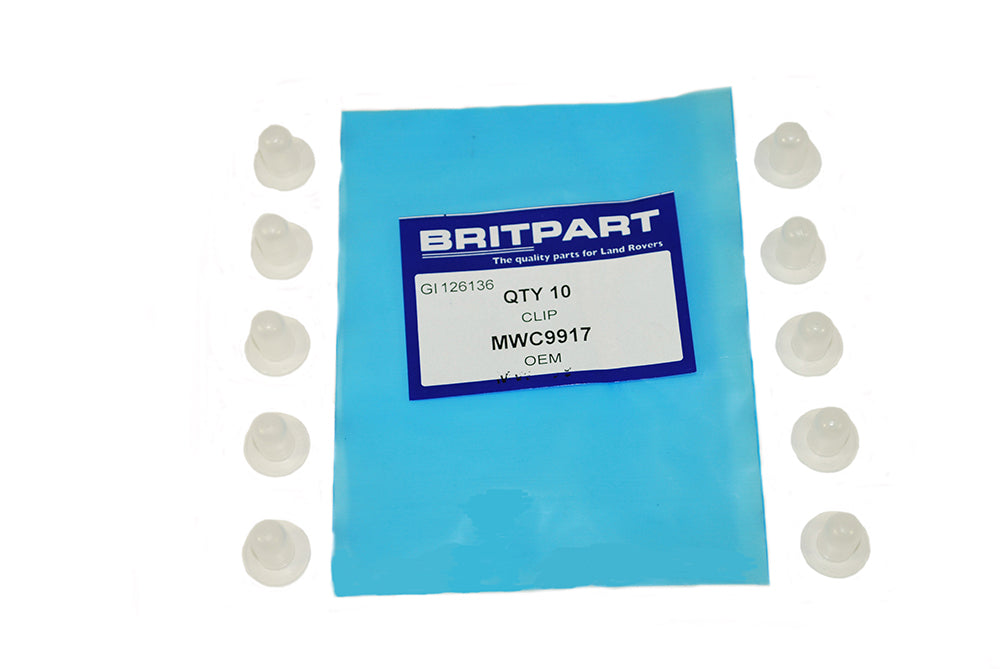 Bush - Door Panel - OEM