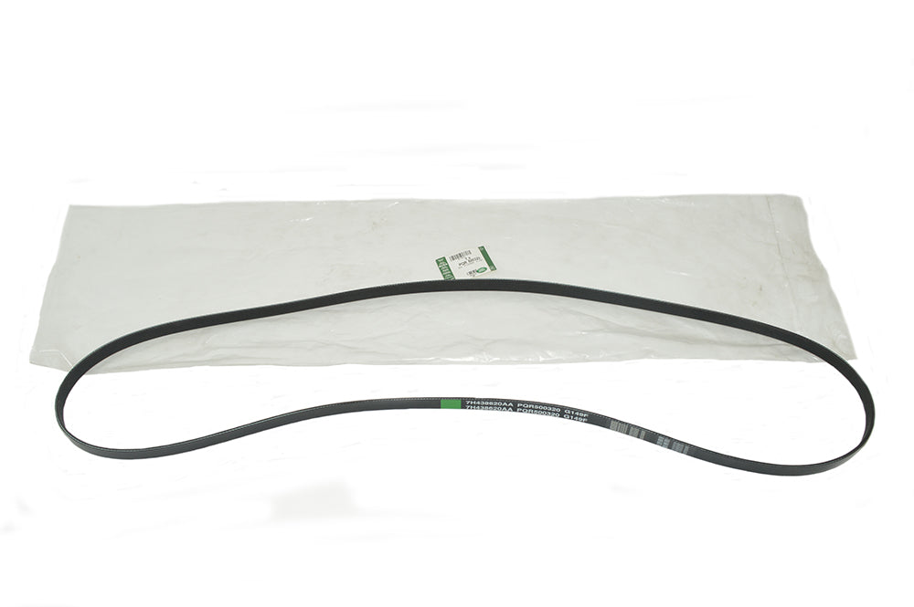 Primary Drive Belt