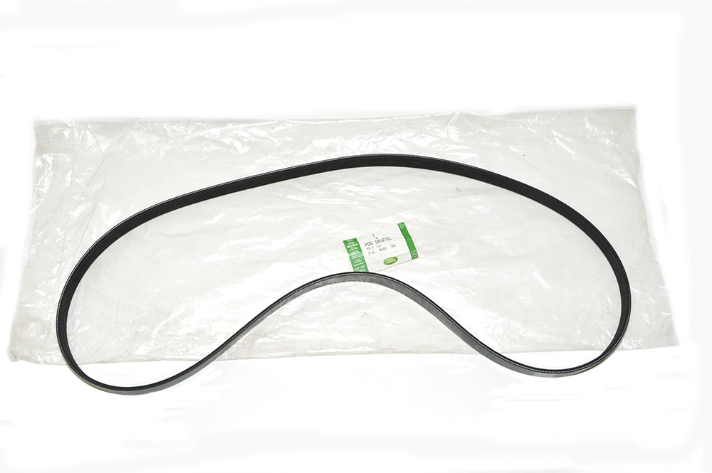 Serpentine Belt