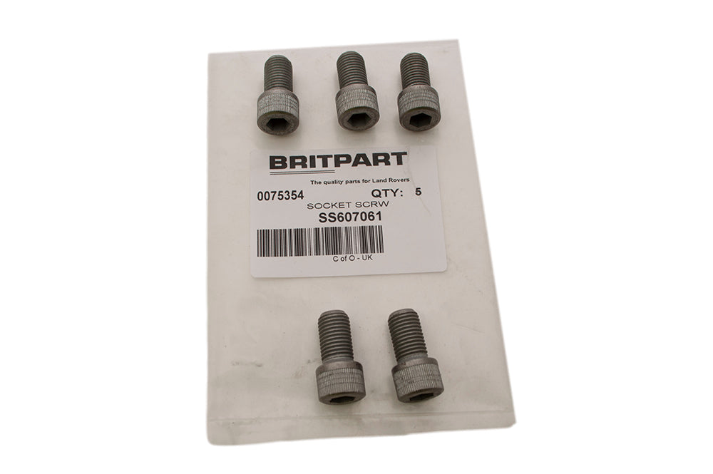 Bolt - Allen Head - 7/16x3/4 UNF - Genuine