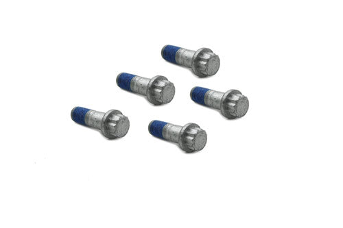 Disc Brake Caliper - Bolt