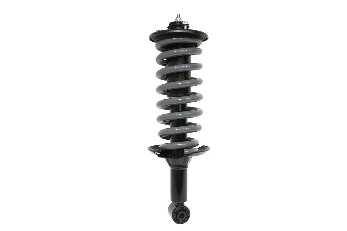 Terrafirma - Replacement Rear Strut Assembly inc. Spring for TF266