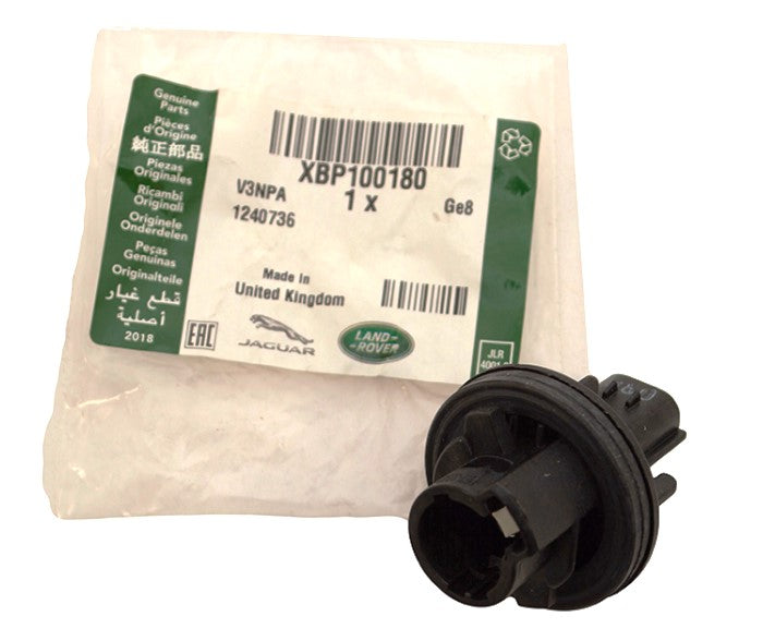 Bulb Holder - 2-Pin - Genuine