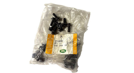 Bolt - EGR - TdV6 - Genuine