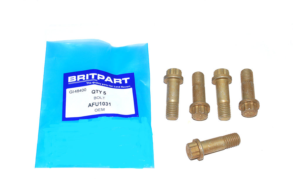 Disc Brake Caliper Bolt - Genuine