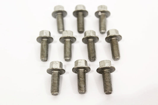 Body Screw