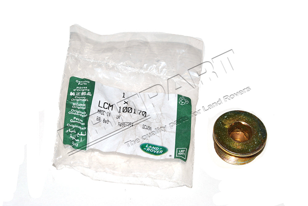 Drain Plug - Cylinder Head - Genuine