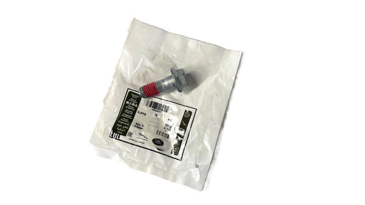 Bolt - Brake Caliper Mounts - Genuine