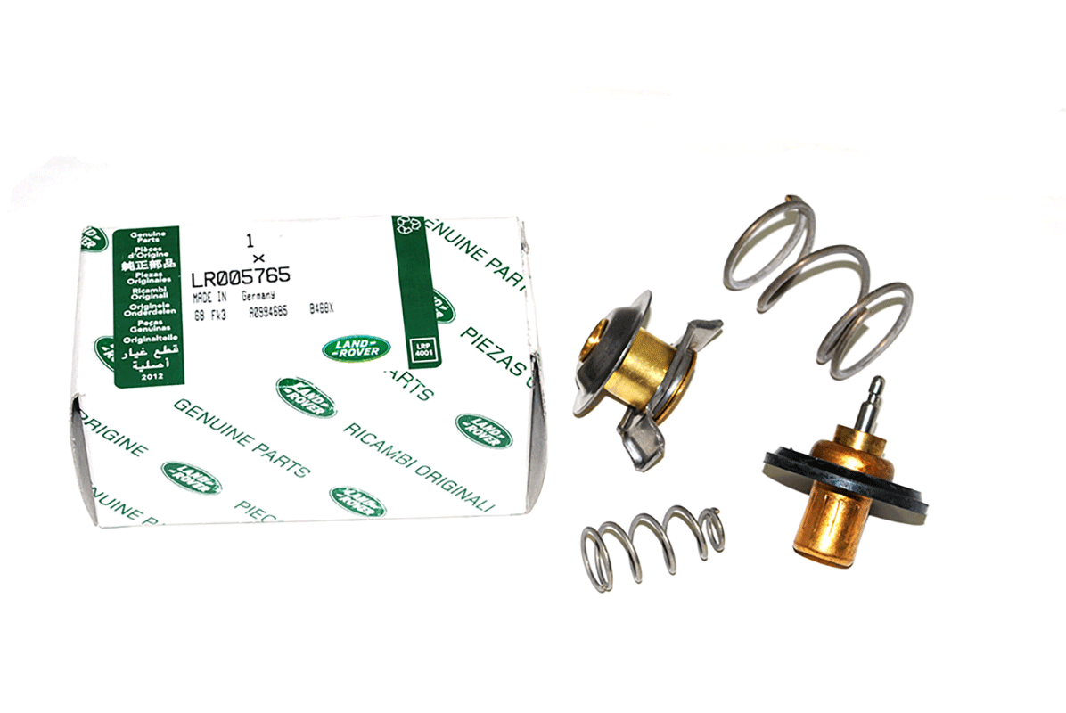 Thermostat Kit