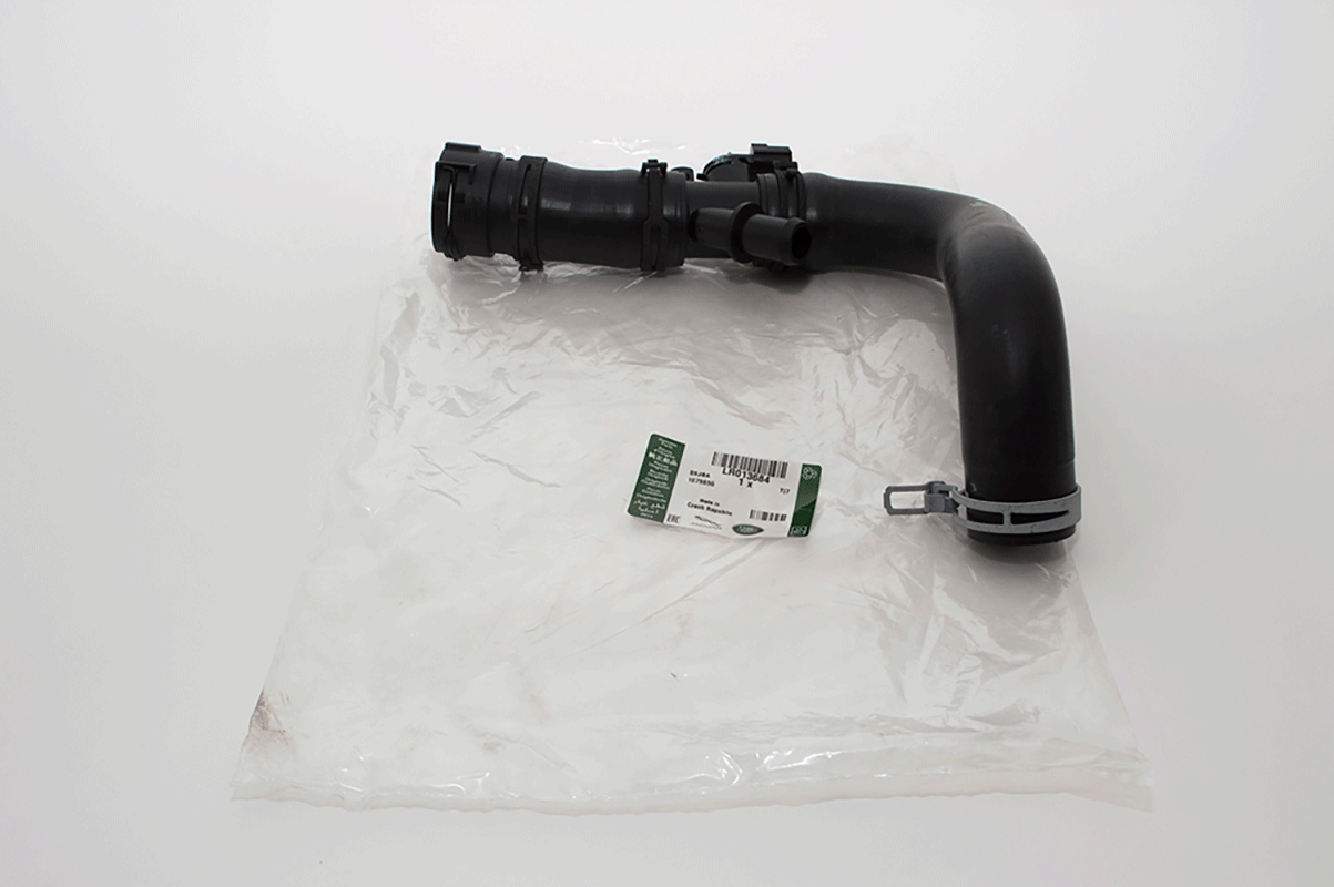 Hose - Lower - Engine to Radiator w/ Clips - Genuine