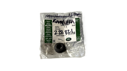 Nut - Converter Pipe - Genuine