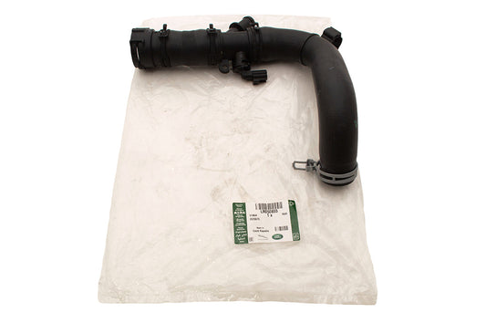 Hose - Radiator - Lower w/ Sensor - 3.0L V6 - Genuine