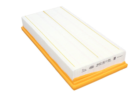 Air Filter - LR4/D5/RRS - Genuine