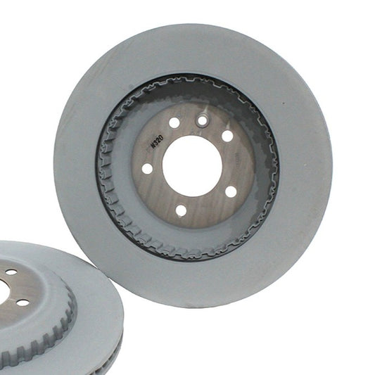 Disc Brake Rotor - Rear - 19" - Brembo