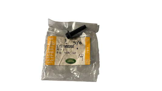 Seat Belt Retaining Bolt - Genuine