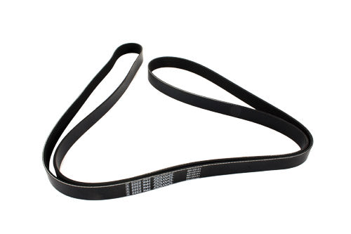 Serpentine Belt - Oem