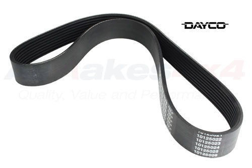 Serpentine Belt - Secondary 4.4L - Dayco