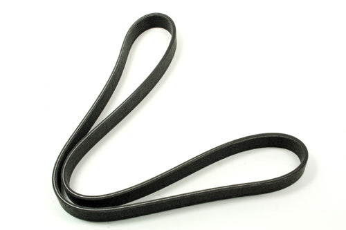 Serpentine Belt - Secondary 4.2L S/C