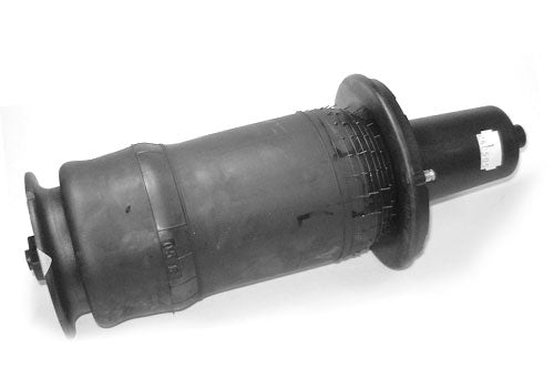 Air Spring - Front - Oem