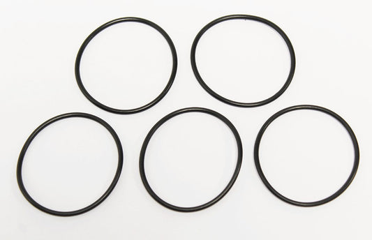 O-ring ZF Trans Filter