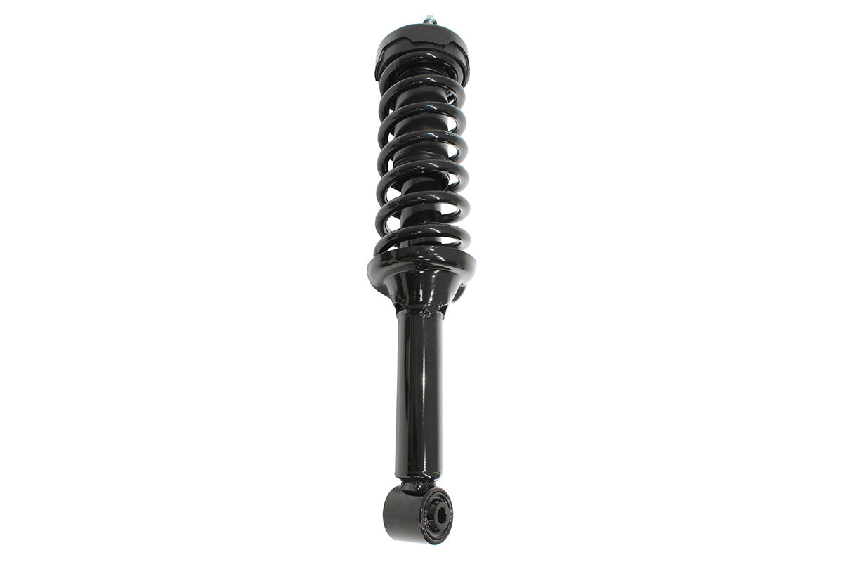 Terrafirma - Replacement Front Strut Assembly inc. Spring for TF265