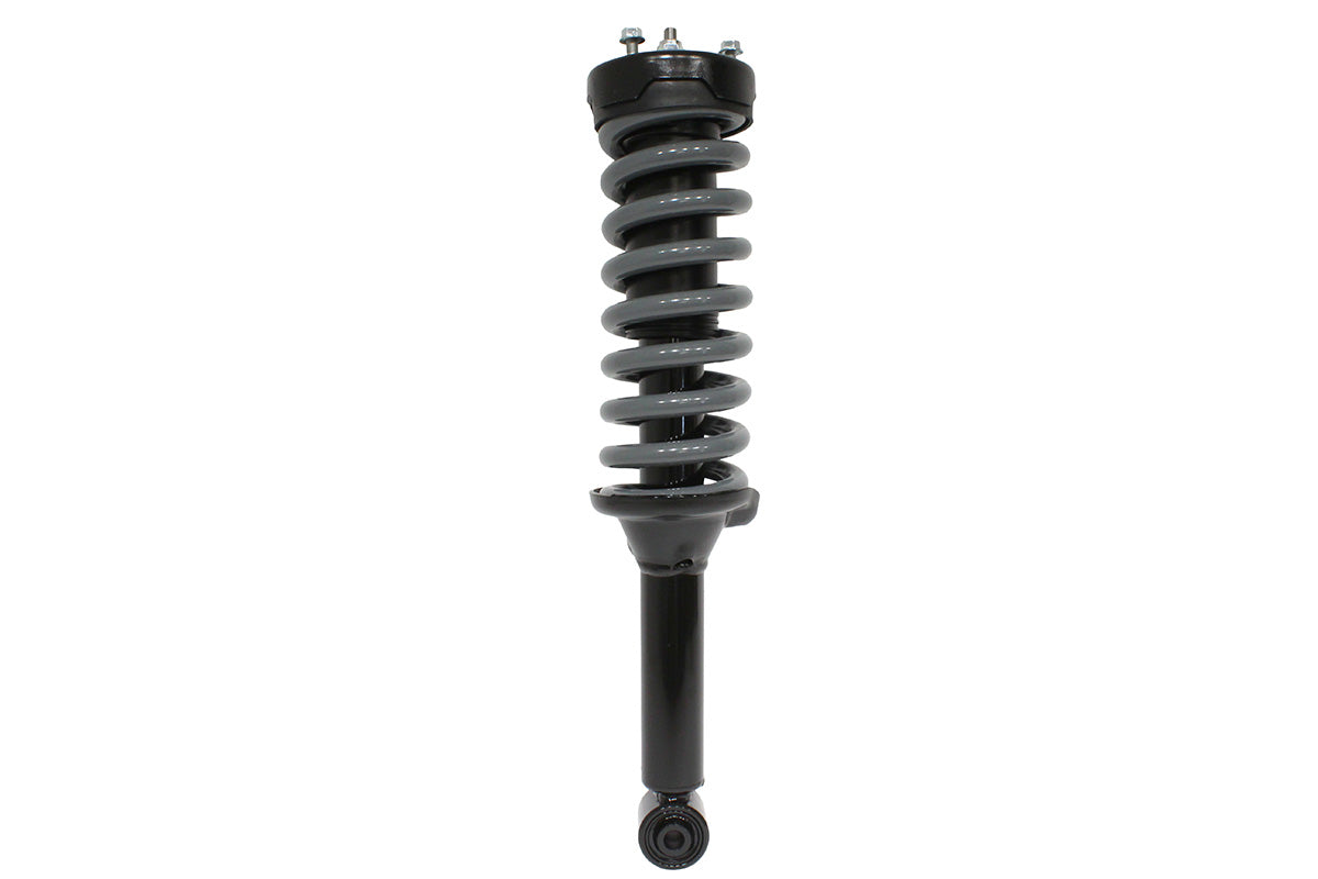 Terrafirma - Replacement Front Strut Assembly inc. Spring for TF266