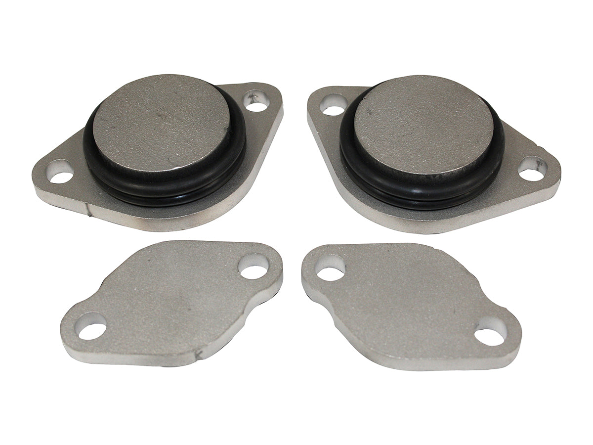 Terrafirma - EGR Removal Kit