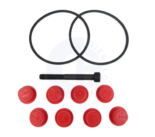 Viton diesel injection pump head o-ring seal kit